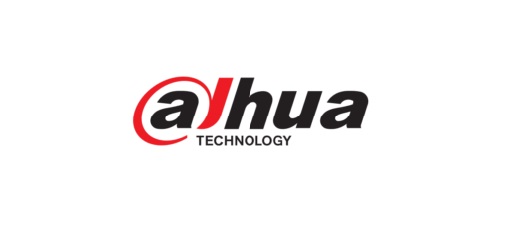 dahua partners